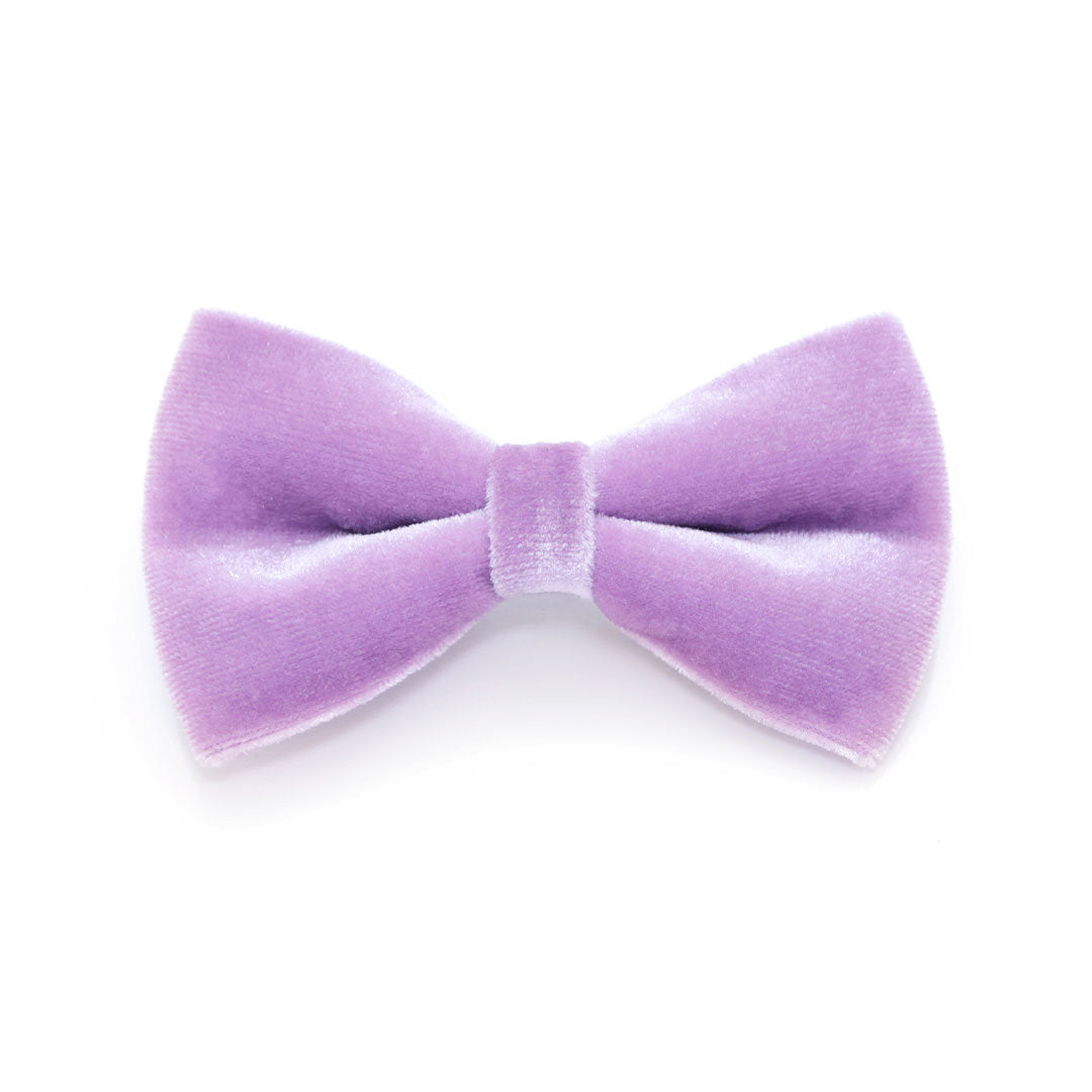 Bow Tie Cat Collar Set - "Velvet - Lavender" - Light Purple Velvet Cat Collar w/ Matching Bowtie (Removable) / Wedding