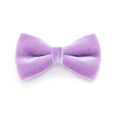 Bow Tie Cat Collar Set - "Velvet - Lavender" - Light Purple Velvet Cat Collar w/ Matching Bowtie (Removable) / Wedding