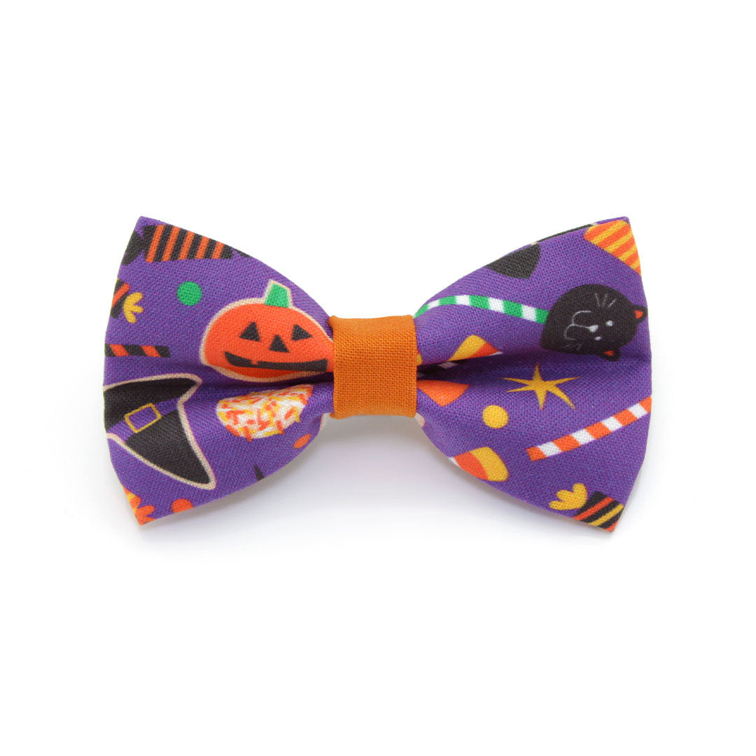 Bow Tie Cat Collar Set - "Witch's Brew" - Halloween Cat Collar w/ Matching Bowtie (Removable)