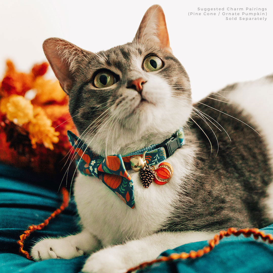 Cat Collar - "Pumpkin Patch - Teal" - Harvest Fall Cat Collar - Breakaway Buckle or Non-Breakaway / Cat, Kitten + Small Dog Sizes