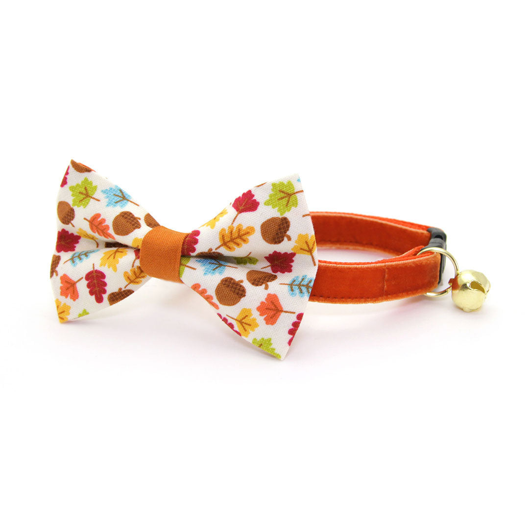 Cat Collar - "Velvet - Roasted Pumpkin" - Burnt Orange Velvet / Fall + Thanksgiving - Breakaway Buckle or Non-Breakaway / Cat, Kitten + Small Dog Sizes