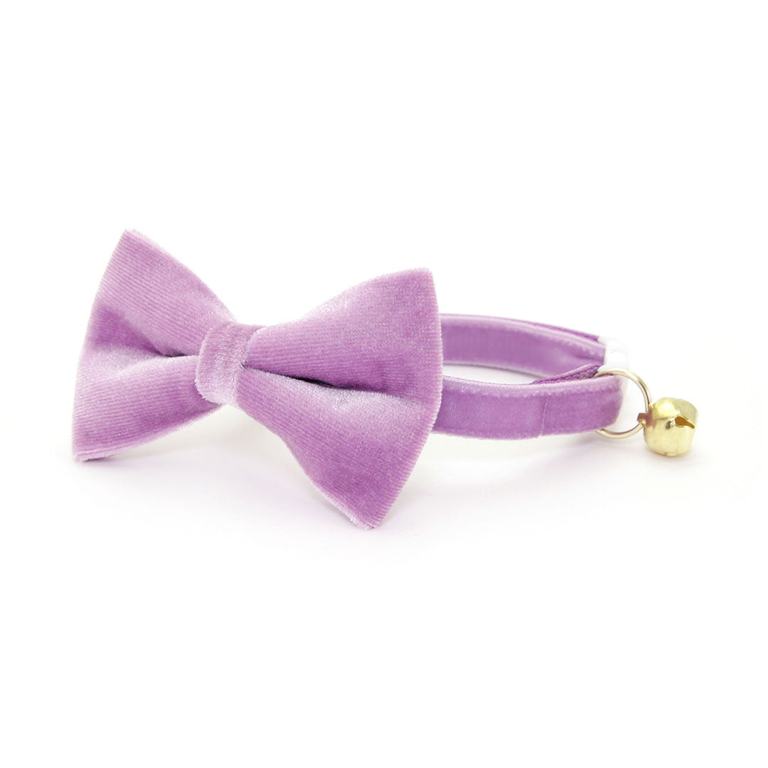 Pet Bow Tie - "Velvet - Lavender" - Light Purple Velvet Bowtie / Wedding / For Cats + Small Dogs / Removable (One Size)
