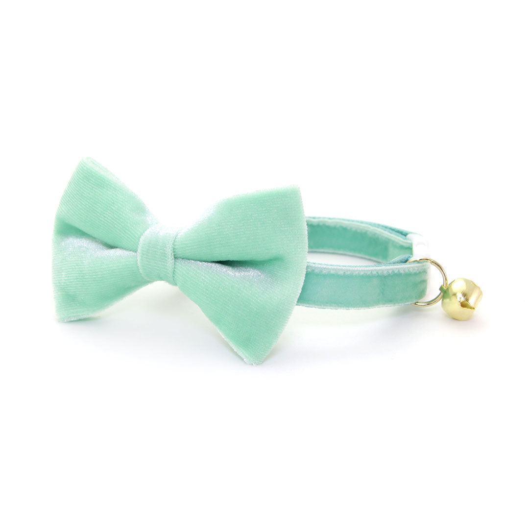Pet Bow Tie - "Velvet - Mint" - Robin's Egg Velvet Bowtie / Wedding / For Cats + Small Dogs / Removable (One Size)