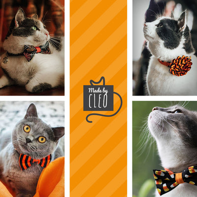Cat Collar + Flower Set - "Witch's Brew" - Halloween Cat Collar w/ Orange Felt Flower (Detachable)