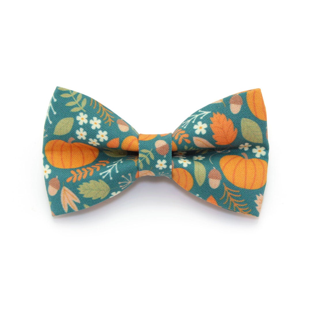 Bow Tie Cat Collar Set - "Pumpkin Patch - Teal" - Fall Harvest Cat Collar w/ Matching Bowtie (Removable) / Fall + Thanksgiving