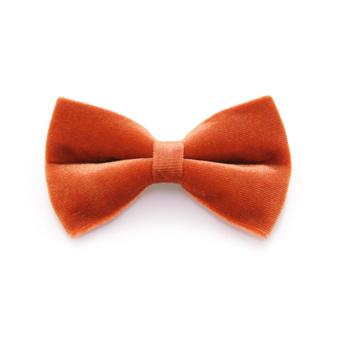 Bow Tie Cat Collar Set - "Velvet - Roasted Pumpkin" - Burnt Orange Velvet Cat Collar w/ Matching Bowtie (Removable)