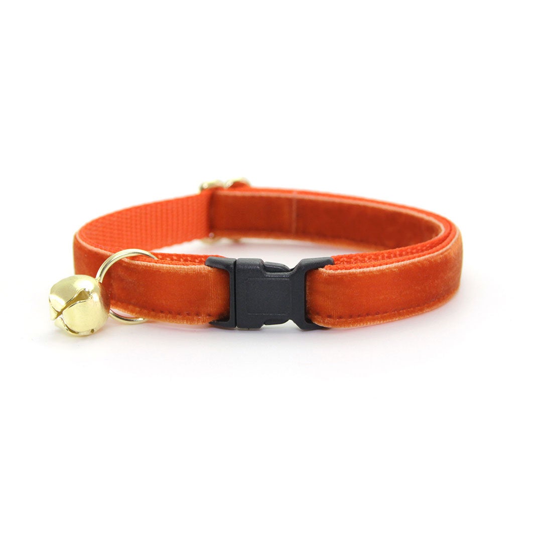 Bow Tie Cat Collar Set - "Velvet - Roasted Pumpkin" - Burnt Orange Velvet Cat Collar w/ Matching Bowtie (Removable)