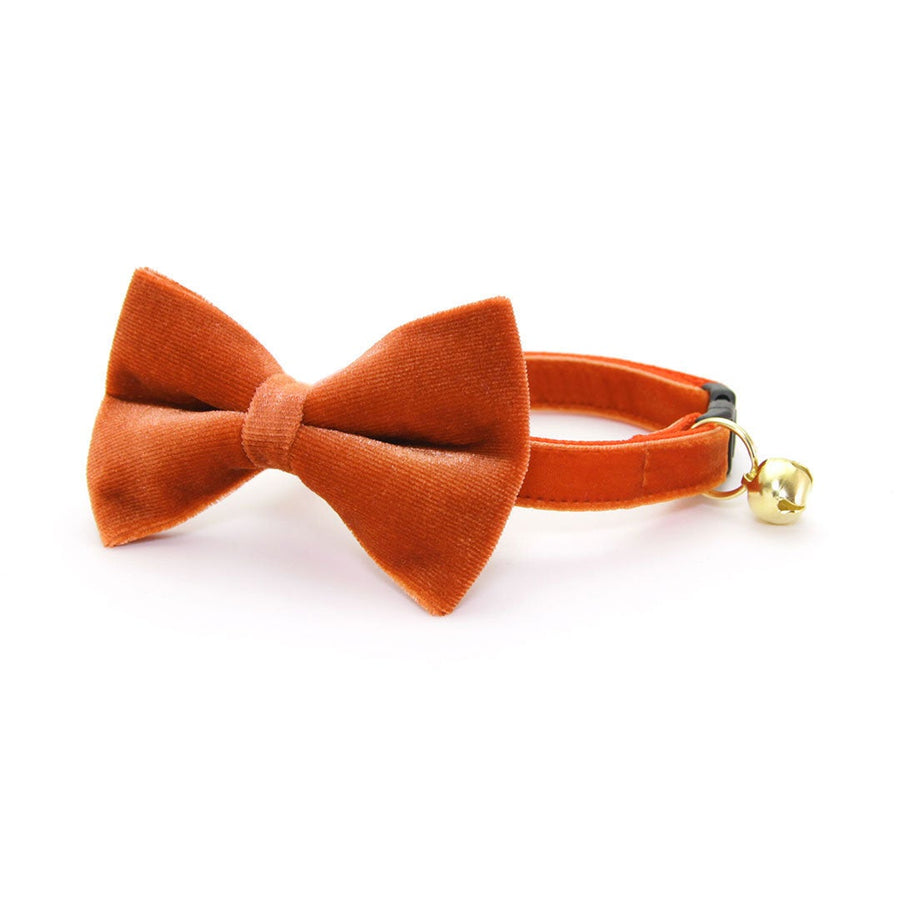 Bow Tie Cat Collar Set - "Velvet - Roasted Pumpkin" - Burnt Orange Velvet Cat Collar w/ Matching Bowtie (Removable)