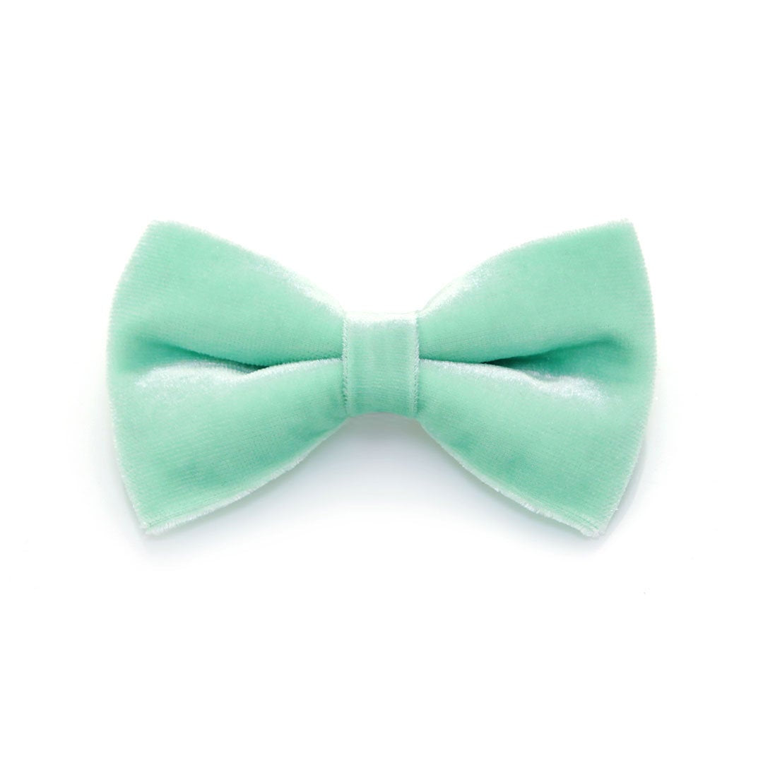 Bow Tie Cat Collar Set - "Velvet - Mint" - Robin's Egg Velvet Cat Collar w/ Matching Bowtie (Removable) / Wedding