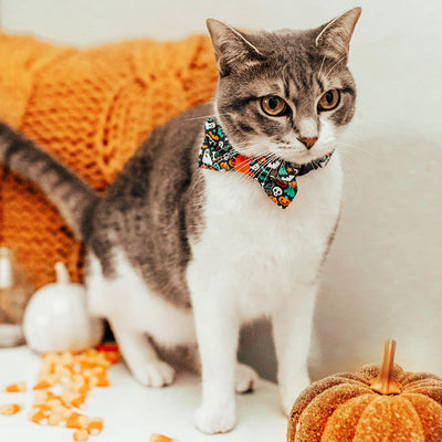 Halloween Cat Collar - "Here for the Boos" - Ghosts, Pumpkins & Skulls Cat Collar - Breakaway Buckle or Non-Breakaway / Cat, Kitten + Small Dog Sizes
