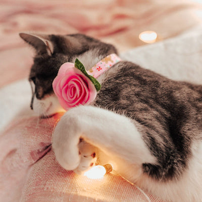 Cat Collar + Flower Set - "Sugar & Spice" - Pink Gingerbread Cat Collar w/ Baby Pink Felt Flower (Detachable)