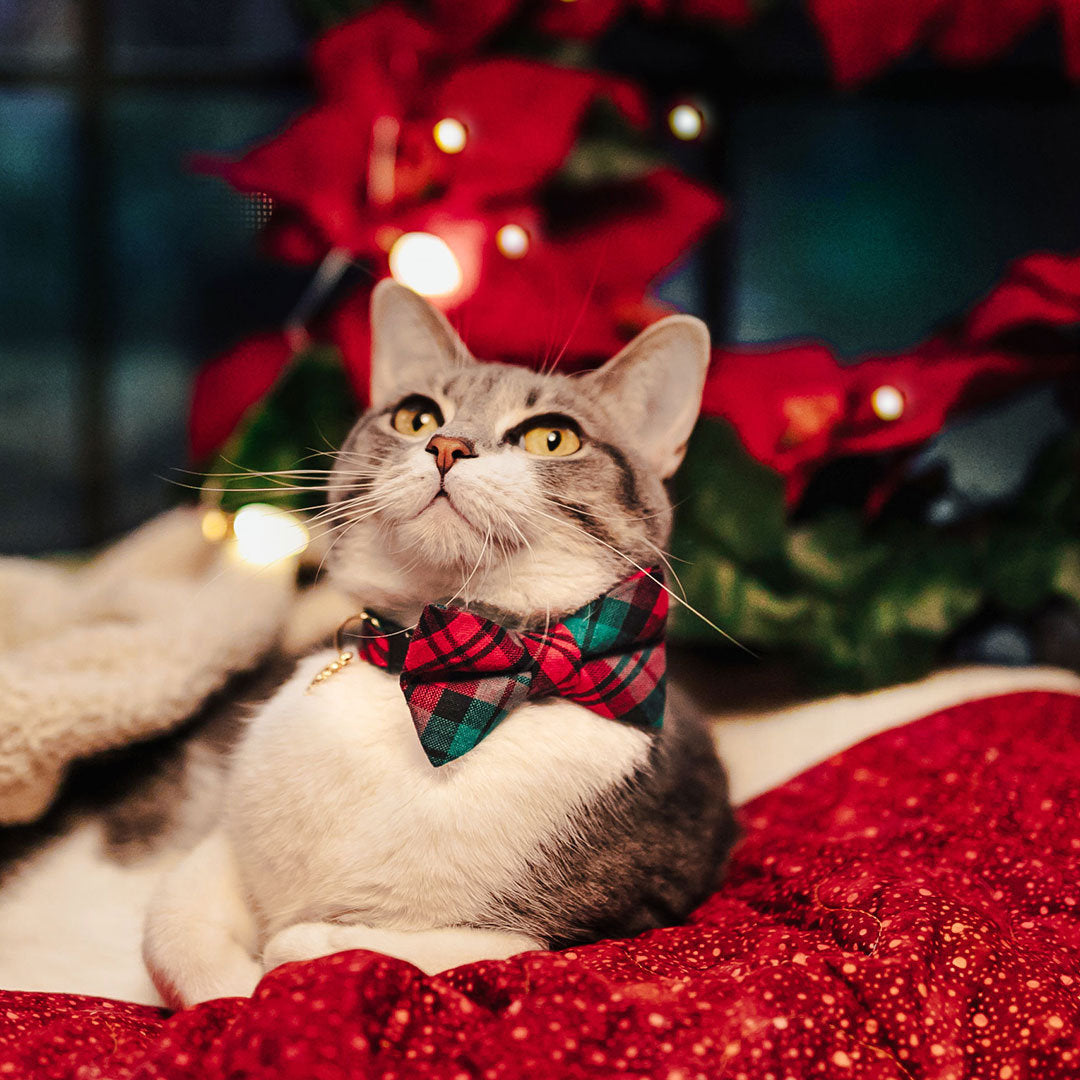 Bow Tie Cat Collar Set - "Fireside" - Red & Green Holiday Plaid Cat Collar w/ Matching Bowtie (Removable)