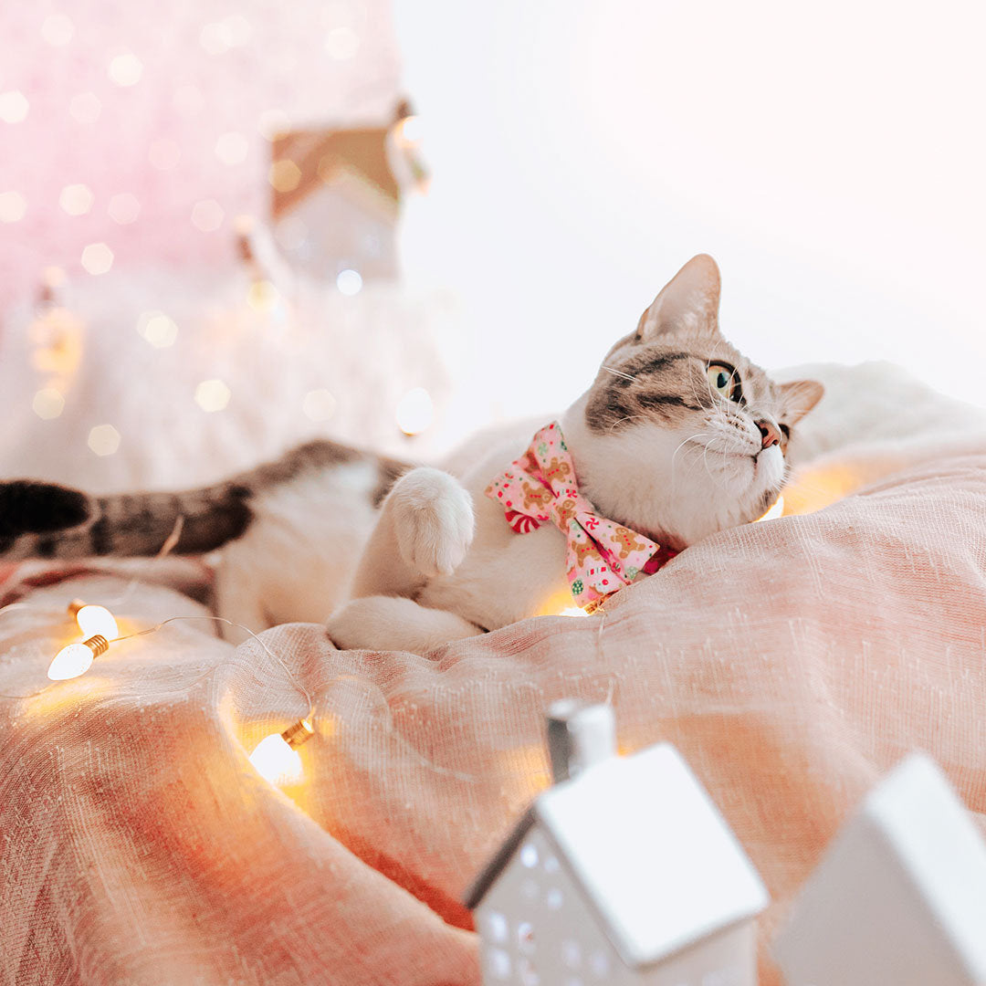 Holiday Pet Bow Tie - "Sugar & Spice" - Pink Gingerbread, Peppermints & Cupcakes Bowtie for Pet Collar / For Cats + Small Dogs / Removable (One Size)