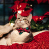 Holiday Pet Bow Tie - "Fireside" - Red & Green Plaid Bowtie for Pet Collar / Christmas / For Cats + Small Dogs / Removable (One Size)