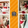Pet Bow Tie - "Antique Rose" - Red Mini Roses Bowtie for Cats + Small Dogs / Valentine's Day / One Size