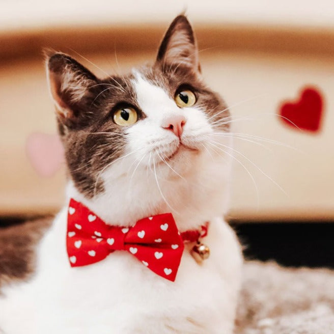 Bow Tie Cat Collar Set - "Love Song" - Red Heart Cat Collar w/ Matching Bowtie (Removable) / Valentine's Day