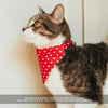 Pet Bandana - "Nautical Sunset" - Coral Red Anchor & Lobster Bandana for Cat + Small Dog / Slide-on Bandana / Over-the-Collar (One Size)