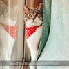 Pet Bandana - "Holly Pink" - Christmas Holly Berry Bandana for Cat + Small Dog / Holiday / Slide-on Bandana / Over-the-Collar (One Size)