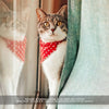 Pet Bandana - "Berry Blossom" - Red Floral Bandana for Cat + Small Dog / Slide-on Bandana / Over-the-Collar (One Size)