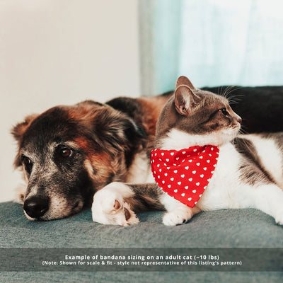 Pet Bandana - "Feathered Friends" - Owl Bandana for Cat + Small Dog / Slide-on Bandana / Over-the-Collar (One Size)
