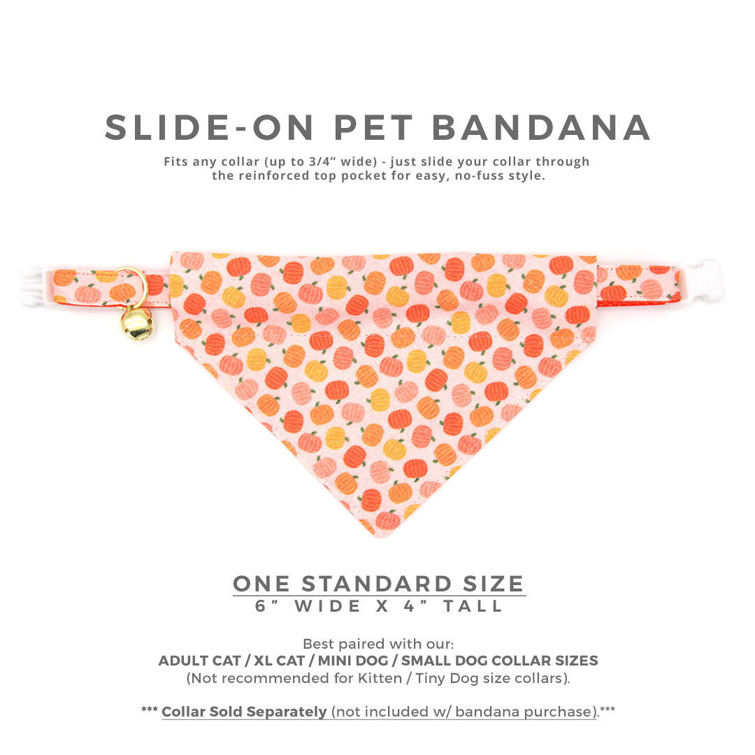 Fall Pet Bandana - "Peachy Pumpkins" - Peach & Orange Pumpkin Bandana for Cat + Small Dog / Thanksgiving / Slide-on Bandana / Over-the-Collar (One Size)