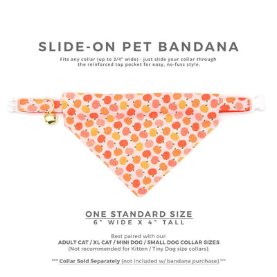 Fall Pet Bandana - "Peachy Pumpkins" - Peach & Orange Pumpkin Bandana for Cat + Small Dog / Thanksgiving / Slide-on Bandana / Over-the-Collar (One Size)