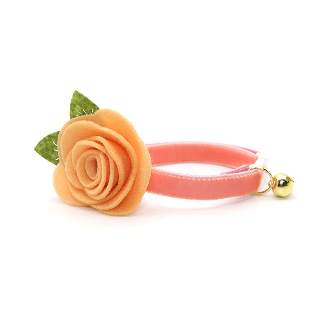 Cat Collar - "Velvet - Peach Coral Pink" - Luxury Velvet Cat Collar / Breakaway Buckle or Non-Breakaway / Cat, Kitten + Small Dog Sizes