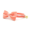 Bow Tie Cat Collar Set - "Velvet - Peach Coral Pink" - Velvet Cat Collar w/ Matching Bowtie / Cat, Kitten, Small Dog Sizes