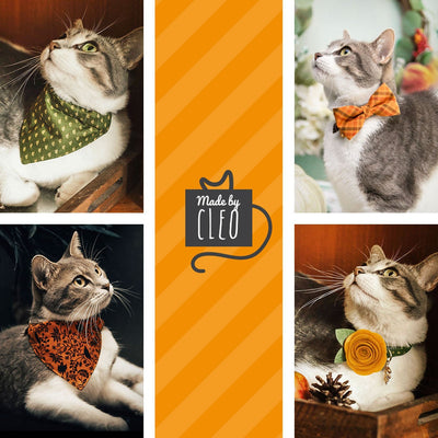 Cat Collar + Flower Set - "Velvet - Marigold" - Velvet Cat Collar w/ Buttercup Yellow Felt Flower (Detachable)