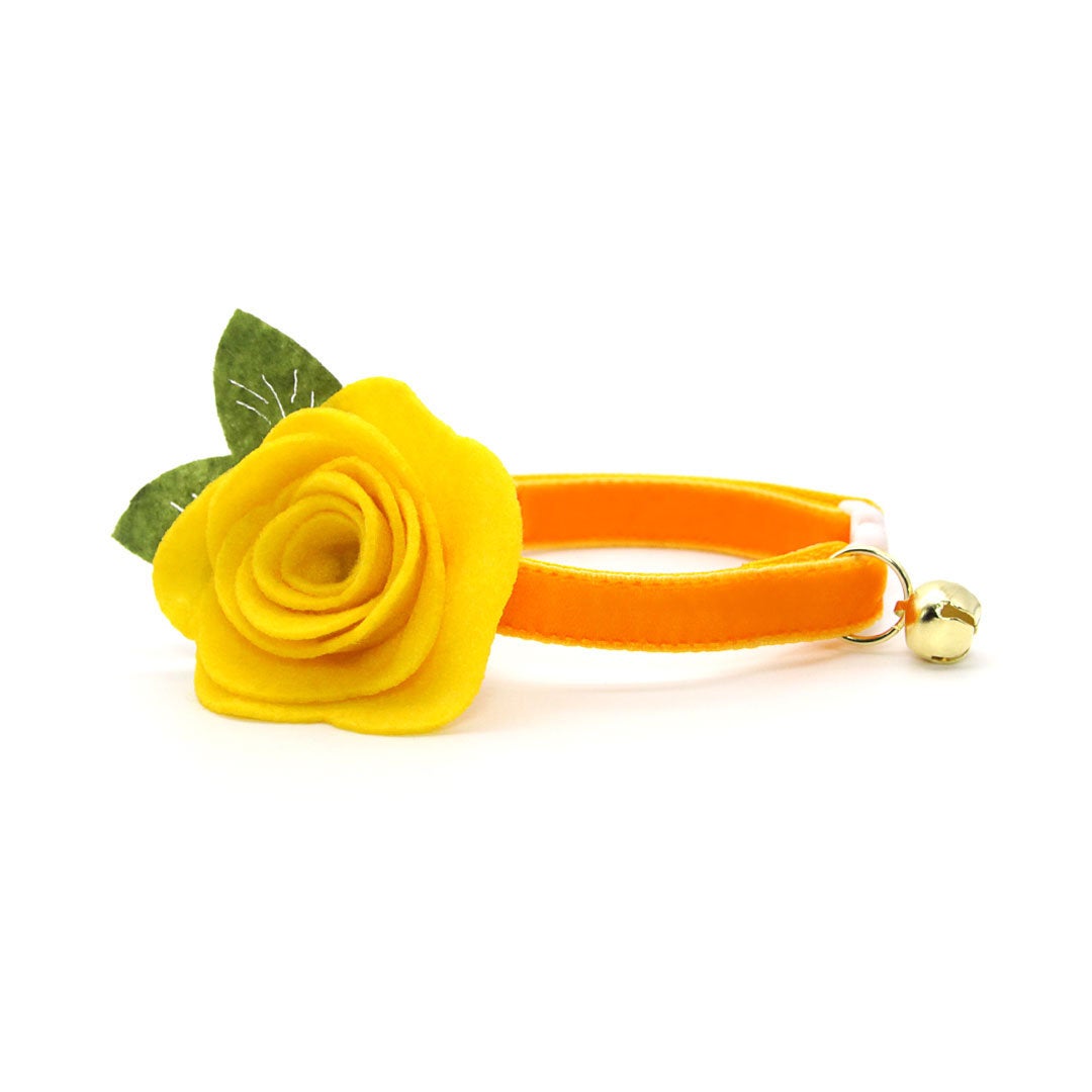 Cat Collar - "Velvet - Marigold" - Luxury Velvet Cat Collar / Breakaway Buckle or Non-Breakaway / Cat, Kitten + Small Dog Sizes