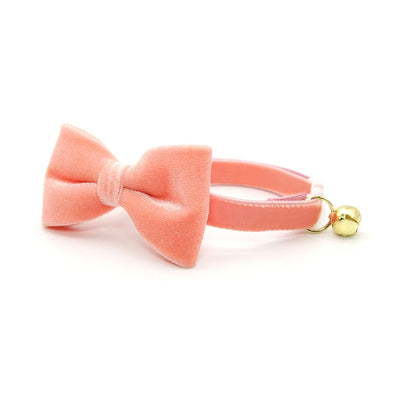 Cat Collar - "Velvet - Peach Coral Pink" - Luxury Velvet Cat Collar / Breakaway Buckle or Non-Breakaway / Cat, Kitten + Small Dog Sizes
