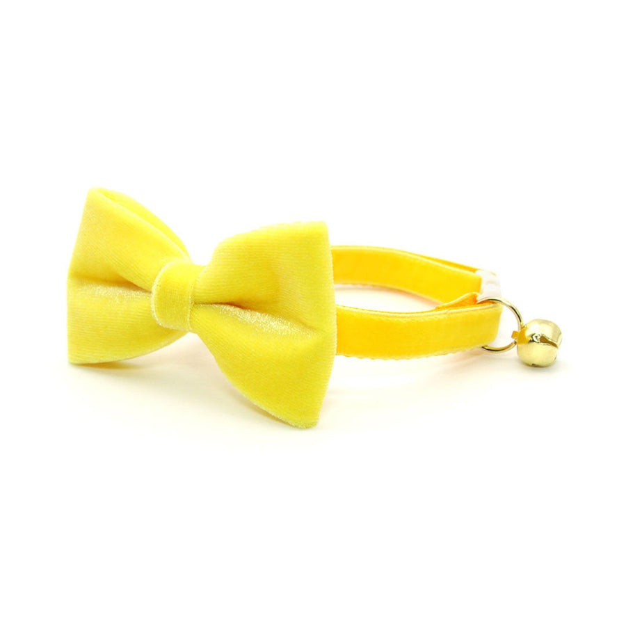 Bow Tie Cat Collar Set - "Velvet - Lemon Yellow" - Light Yellow Velvet Cat Collar w/ Matching Bowtie / Cat, Kitten, Small Dog Sizes