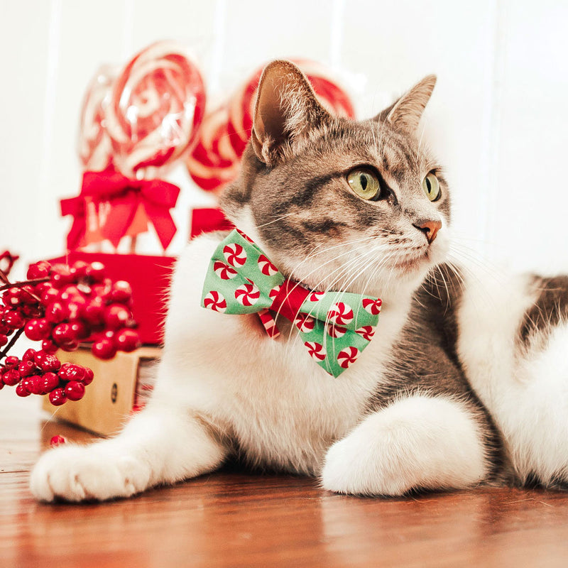 Bow Tie Cat Collar Set - "Peppermint Twist" - Red & Green Holiday Cat Collar w/ Matching Bowtie (Removable)