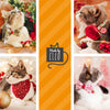 Cat Collar + Flower Set - "Pine & Berries" - Holiday Garland Cat Collar w/ Scarlet Felt Flower (Detachable)