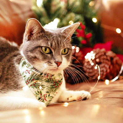 Cat Collar + Flower Set - "Pine & Berries" - Holiday Garland Cat Collar w/ Scarlet Felt Flower (Detachable)