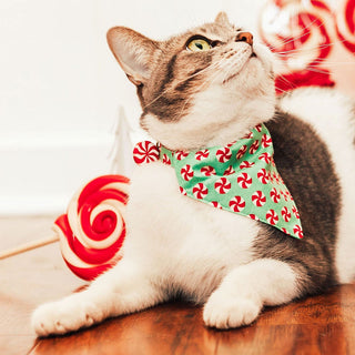 Pet Bandana - "Peppermint Twist" - Red & Green Christmas Candy for Cat + Small Dog / Holiday / Slide-on Bandana / Over-the-Collar (One Size)