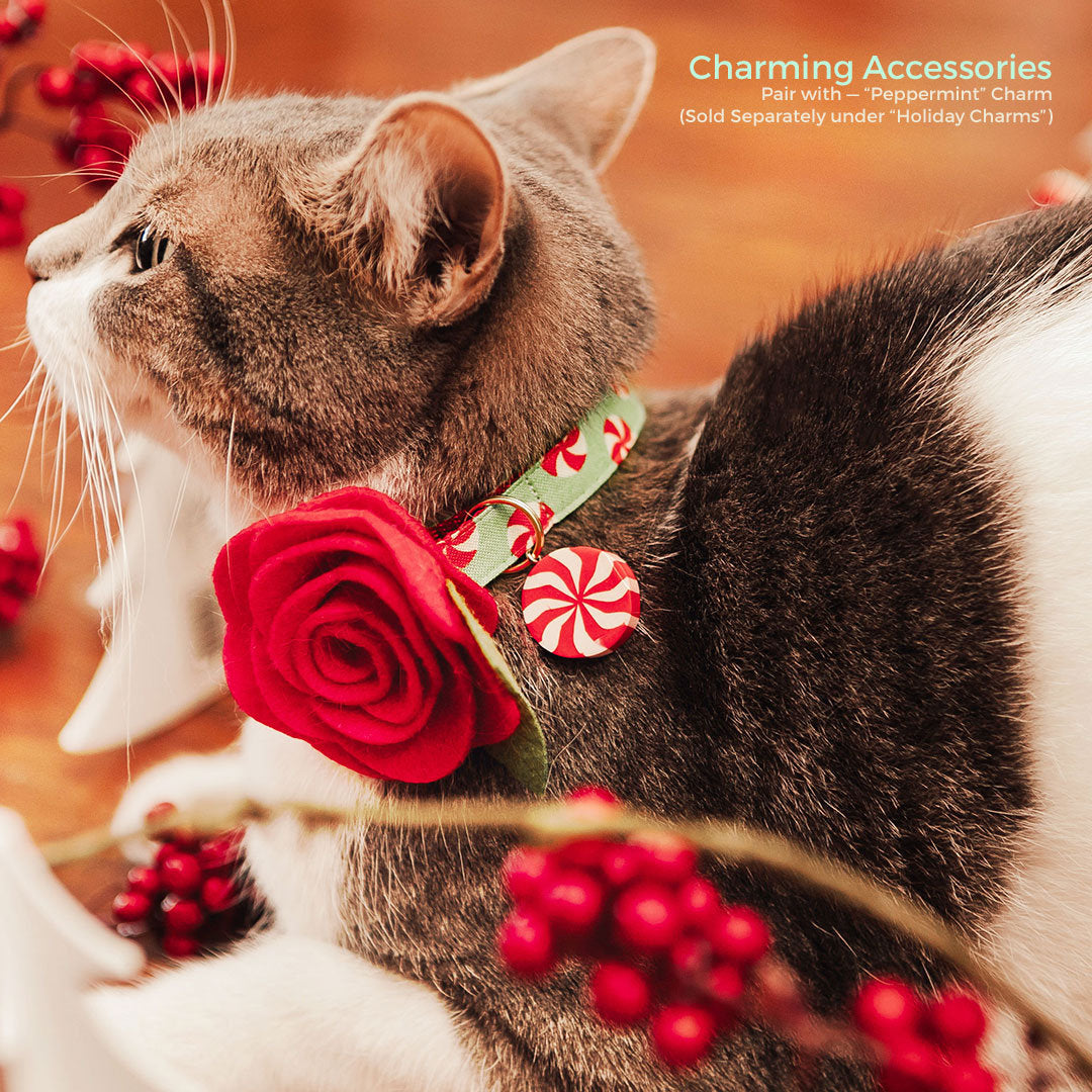 Cat Collar + Flower Set - "Peppermint Twist" - Red & Green Holiday Cat Collar w/ Scarlet Felt Flower (Detachable)