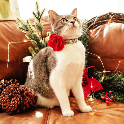 Christmas Cat Collar - "Pine & Berries" - Holiday Garland Cat Collar - Breakaway Buckle or Non-Breakaway / Cat, Kitten + Small Dog Sizes
