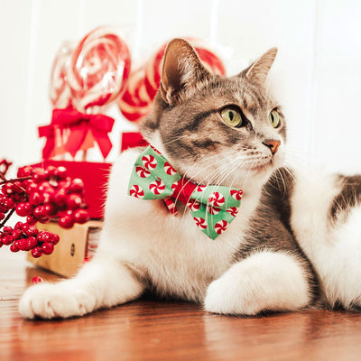 Christmas Pet Bow Tie - "Peppermint Twist" - Red & Green Holiday Candy Bowtie for Pet Collar / For Cats + Small Dogs / Removable (One Size)
