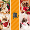 Pet Bandana - "Pine & Berries" - Christmas Berry Garland Bandana for Cat + Small Dog / Holiday / Slide-on Bandana / Over-the-Collar (One Size)