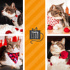 Cat Collar + Flower Set - "Chocolate Strawberries" - Strawberry Cat Collar w/ Scarlet Red Felt Flower (Detachable) / Valentine's Day