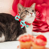 Pet Bandana - "Hey Cupcake - Mint" - Valentine's Day Cupcake Bandana for Cat + Small Dog / Birthday / Slide-on Bandana / Over-the-Collar (One Size)