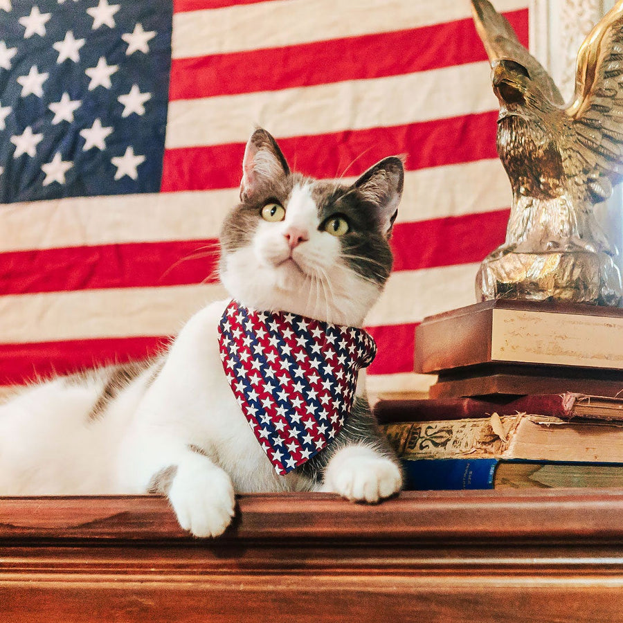 Patriotic Cat Bandana - "Americana" - Stars & Stripes Bandana for Cat + Small Dog / Independence Day / Slide-on Bandana / Over-the-Collar (One Size)