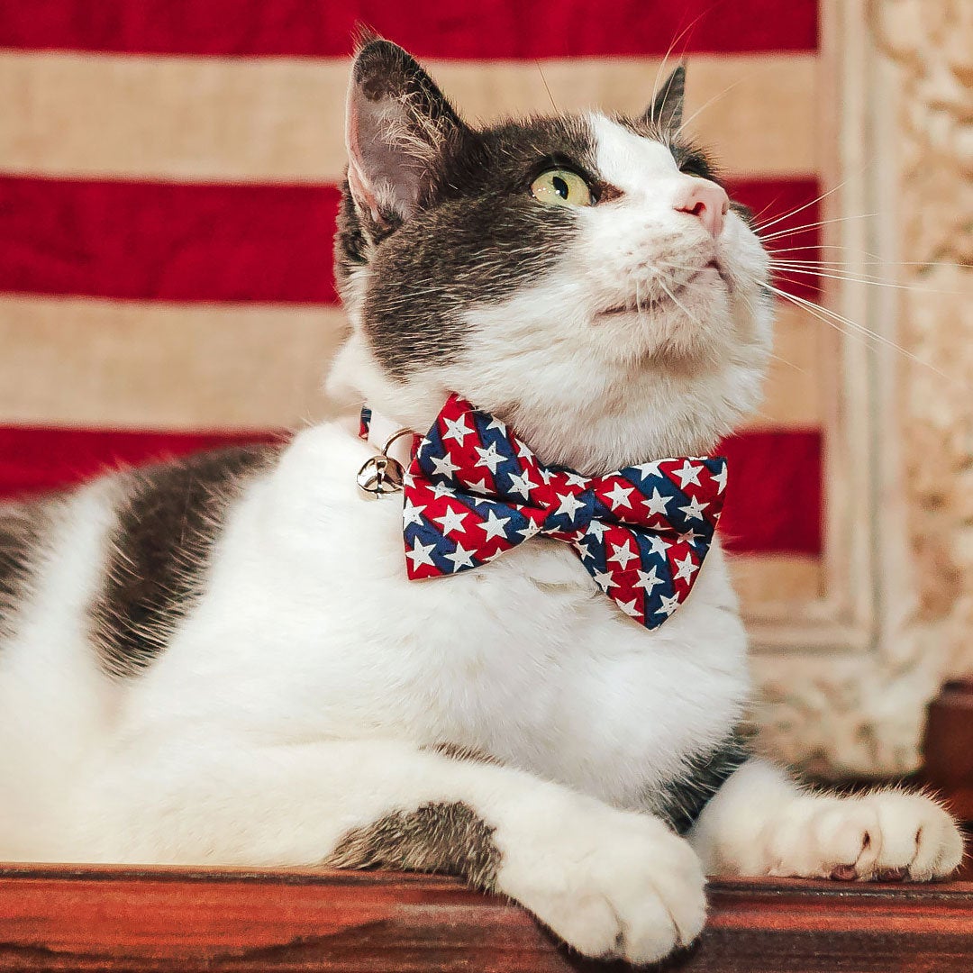 Cat Bow Tie - "Americana" - Stars & Stripes Bowtie for Cat / Independence Day, 4th of July, Patriotic / Fits Cats + Small Dogs (One Size)