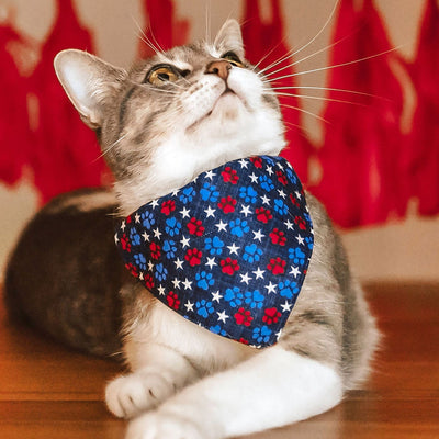 Cat Collar - "Patriotic Paws" - Red White & Blue Fourth of July Cat Collar / Independence Day / Breakaway Buckle or Non-Breakaway / Cat, Kitten + Small Dog Sizes