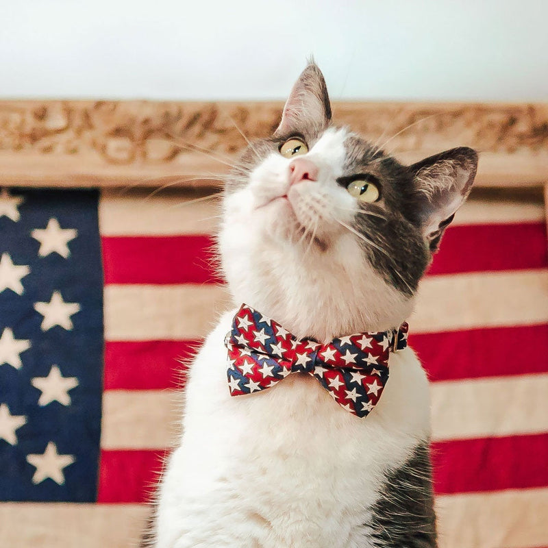 Bow Tie Cat Collar Set - "Americana" - Stars & Stripes Cat Collar w/ Matching Bowtie / Independence Day, 4th of July / Cat, Kitten, Small Dog Sizes