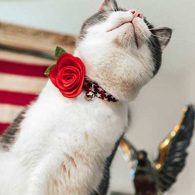 Cat Collar + Flower Set - "Americana" - Stars & Stripes Cat Collar w/ Scarlet Red Felt Flower (Detachable) / Fourth of July, Independence Day