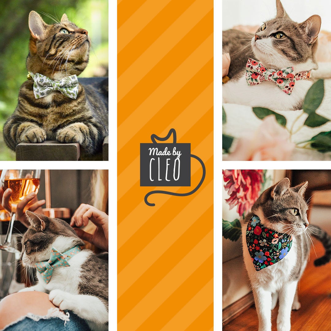 Bow Tie Cat Collar Set - "Color Collection - Teal" - Solid Teal Cat Collar w /  Matching Bowtie / Wedding / Cat, Kitten, Small Dog Sizes