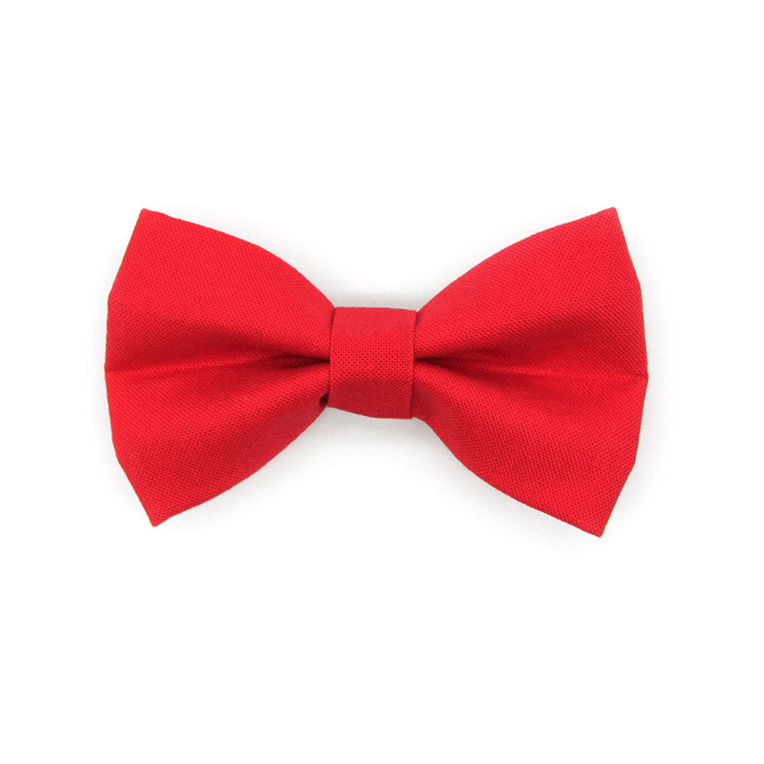 Bow Tie Cat Collar Set - "Color Collection - Red" - Solid Red Cat Collar w /  Matching Bowtie (Removable) / Wedding / Cat, Kitten, Small Dog Sizes