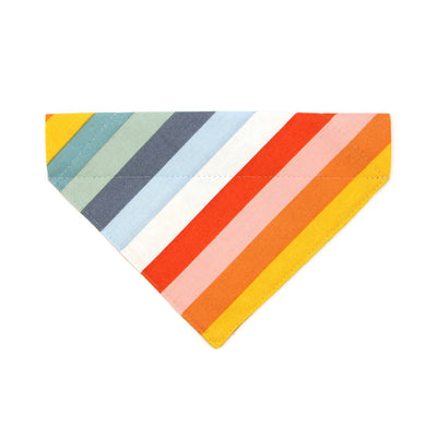 Pet Bandana - "Carousel" - Striped Rainbow Bandana for Cat + Small Dog / Summer, Birthday, LGBTQ / Slide-on Bandana / Over-the-Collar (One Size)